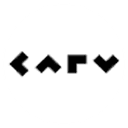 Carv logo